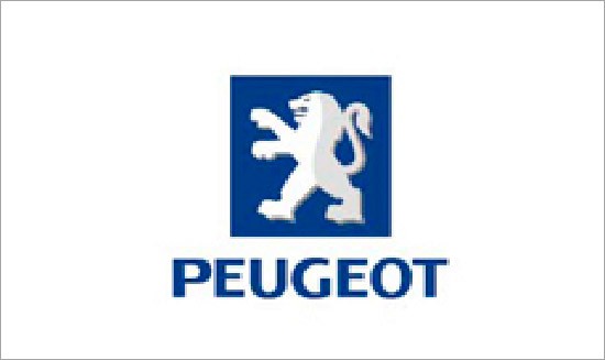 Parbrize autoutilitare